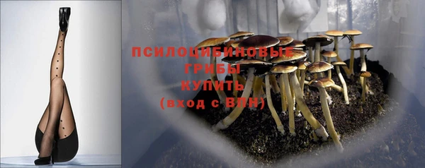 твердый Новый Уренгой