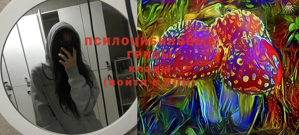 mdma Богданович