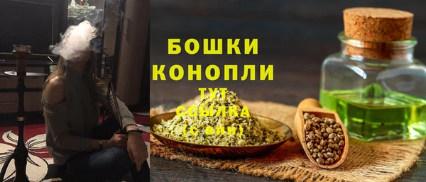 сатива Богородицк