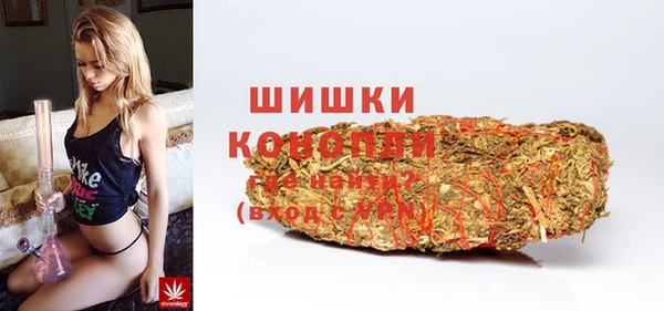 сатива Богородицк