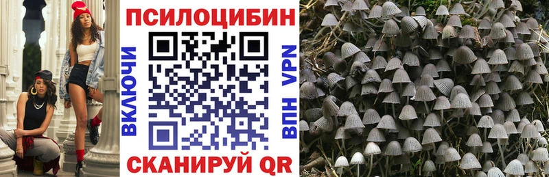 Галлюциногенные грибы мухоморы Дмитровск