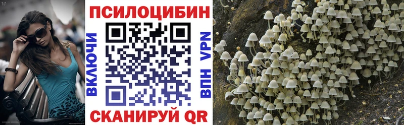 Псилоцибиновые грибы Psilocybe  как найти закладки  Дмитровск 