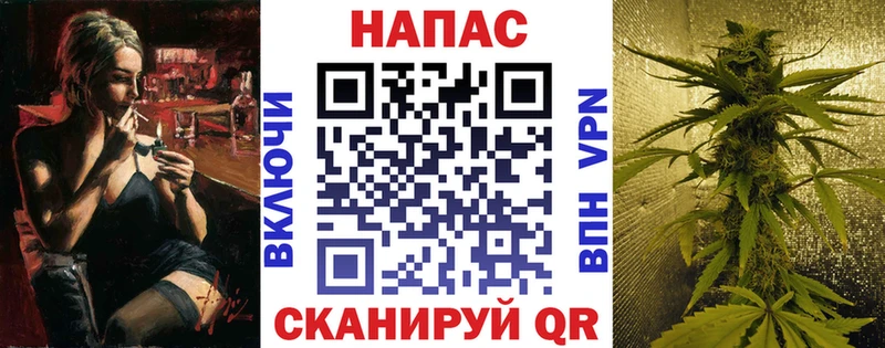 Бошки Шишки сатива Дмитровск